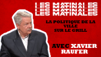 Xavier Raufer-Politique de la ville